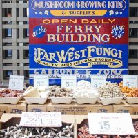 Street Food Tours