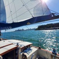 Sailing Trips