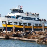 Sustainable Tours