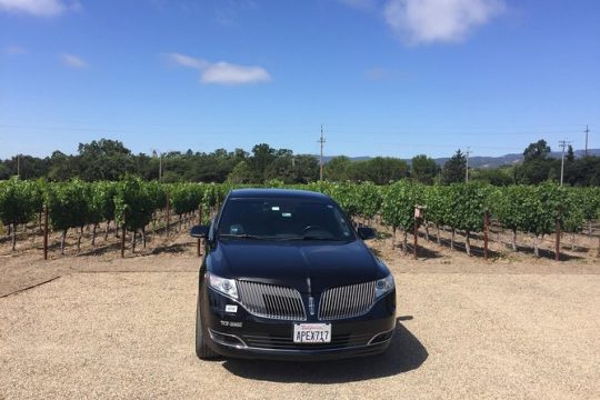 8-Hours Napa Wine Tour from San Francisco to Napa CA , Sedan up to 4 People