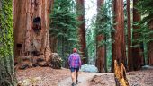 A day in nature heals the soul