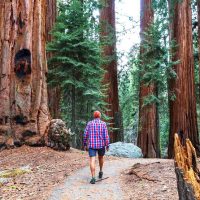 Hiking & Camping