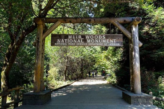 Muir Woods, Sausalito and San Francisco City Combo Private Tour