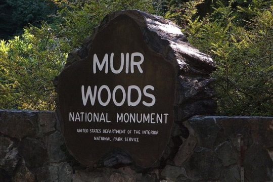 Muir Woods, Sausalito and Tiburon Day Trip from San Francisco