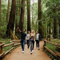 Day Trips & Excursions