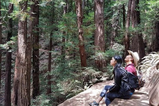 3-1 Muir Woods Visit with Sausalito & Half Day Wine Country (All fees included)