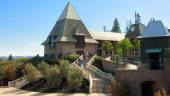 Sonoma Wine Tastings