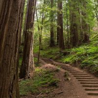 Bike & Mountain Bike Tours