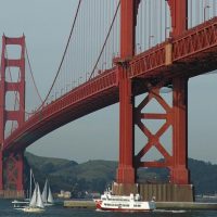 Day Cruises