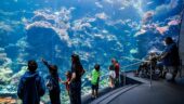A Living Museum That Sparks Wonder