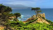 Best ever trip to San Francisco. 