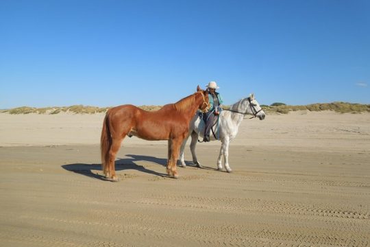 Horseback Ride on the Beach & Alcatraz Tour in San Francisco