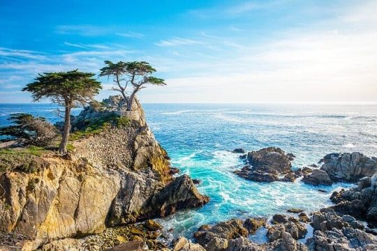 BEST 17-Mile Drive,Carmel & Monterey Day Trip from San Francisco