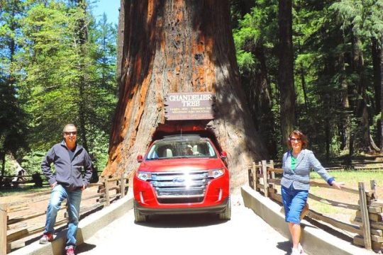 Redwood National Park Tour 2-Day Private Tour Package Hotel Included