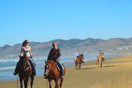 Private Redwoods Tour & Beach Horseback Riding Experience from San Francisco