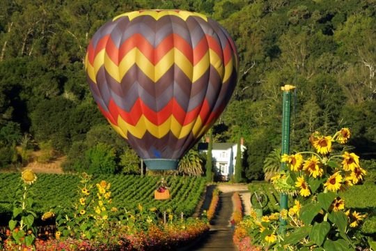 Thrilling Napa Balloon Ride: No change after 5pm the day prior to balloon tour