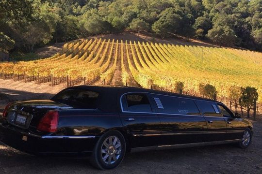 6hr - Napa Wine Tasting Tour in a Luxury Vehicle with Route Planning Assistance
