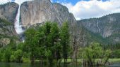 Great experience at Yosemite