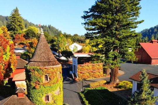 Russian River Valley & Giant Redwoods Private Tour Entrace Fees Included