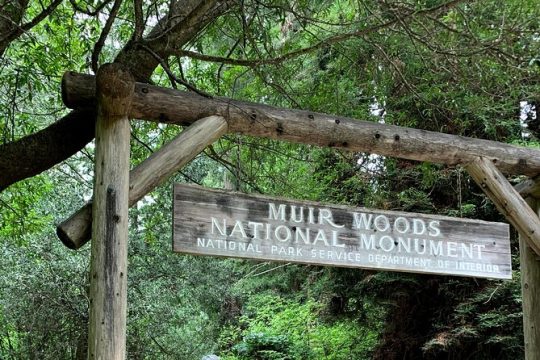 4-Hour Private Sightseeing Tour to Muir Woods, Sausalito and Golden Gate Bridge