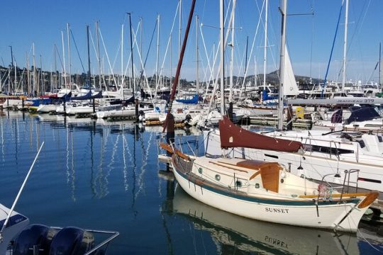 Private Tour to Muir Woods, Sausalito, Marin Headlands, Point Bonita Lighthouse