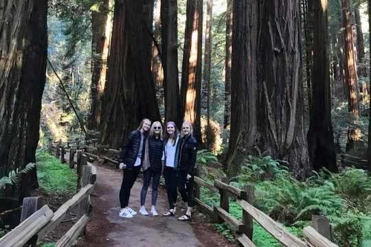 3-Hour Private Muir Giant Redwoods Trees and Sausalito Tour