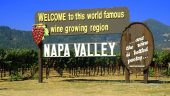 Unforgettable Solo Napa Tour with My Pup