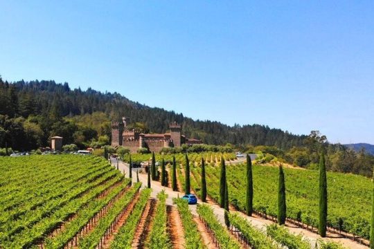 Full Day Private Napa Valley Wine Experience