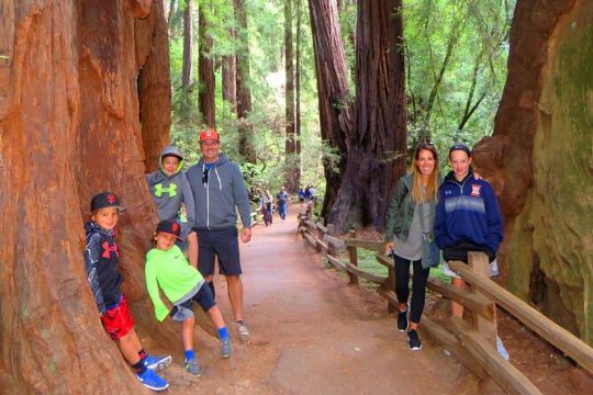 Muir Woods and California Wine Country 8 Hour Private Tour