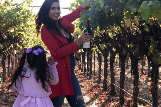 8 Hours 12 Passengers limo bus for Napa or Sonoma wine tour