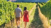 Fab wine tour trip!