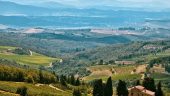 Flight Over Napa