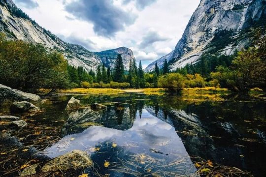 Private Full Day Yosemite National Park Tour from San Francisco