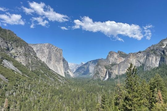Private Yosemite, Sequoias, Glacier Point From San Francisco