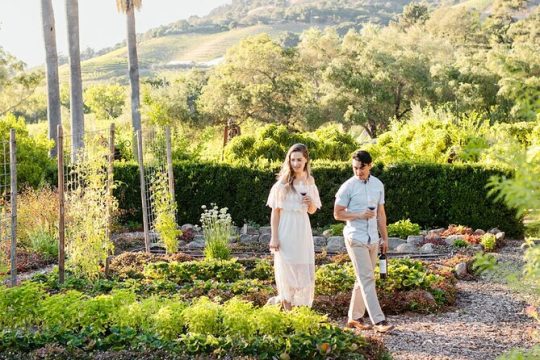 4-Hour Black SUV Private Ride or Wine Tour in Napa or Sonoma