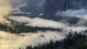 Private tour with Discover Yosemite and Bob Noriega