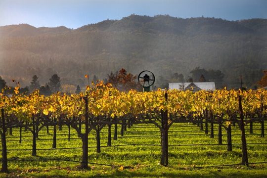 Full-Day Private Amador County Wine Tour from San Francisco