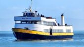 San Francisco Bay Cruise and City Tour