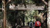 Muir was amazing 