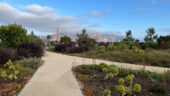 Urban Hike San Fran