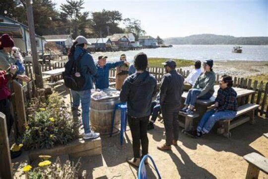 5 day California Vineyards, Waves and Wine small group tour