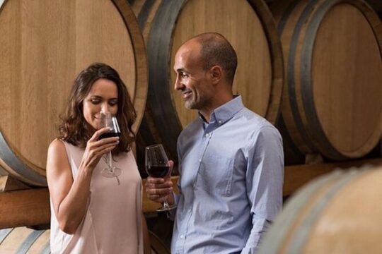 SF Bundle: Wine Tour, Redwoods Preserve, and Hop-on Hop-off Tour