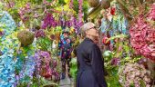 An uniquely San Franciscan immersive artistic feast for the soul.
